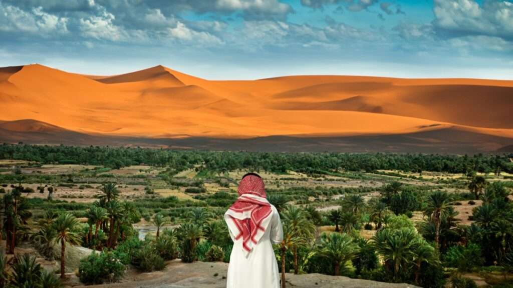 Your Saudi Content Isn’t Working. Here Are 10 Reasons Why And How Taglime Fixes Each One From Laila-Essa Herself